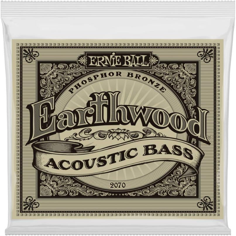Ernie ball bajo acustico