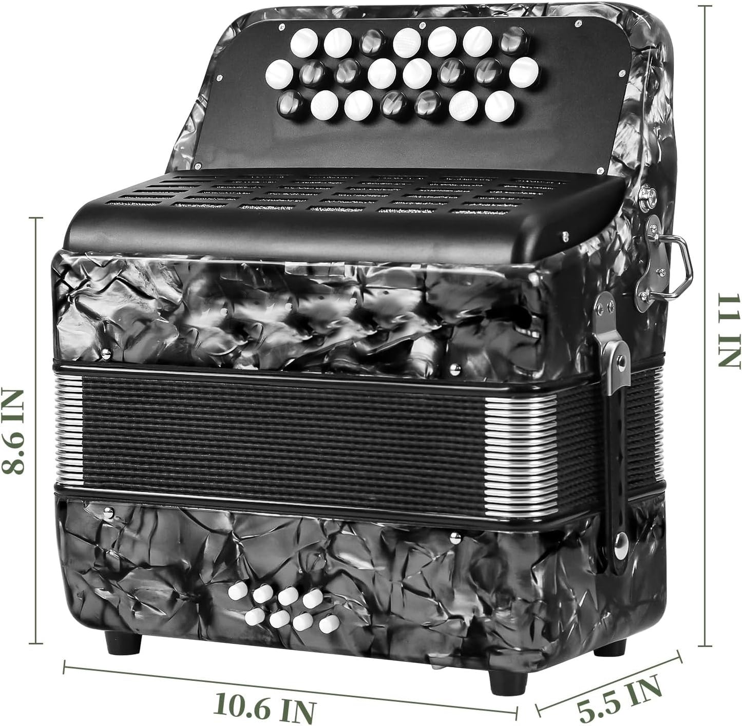 Acordeon