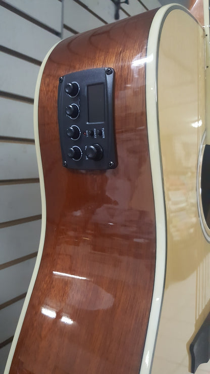 Guitarra 12 cuerdas