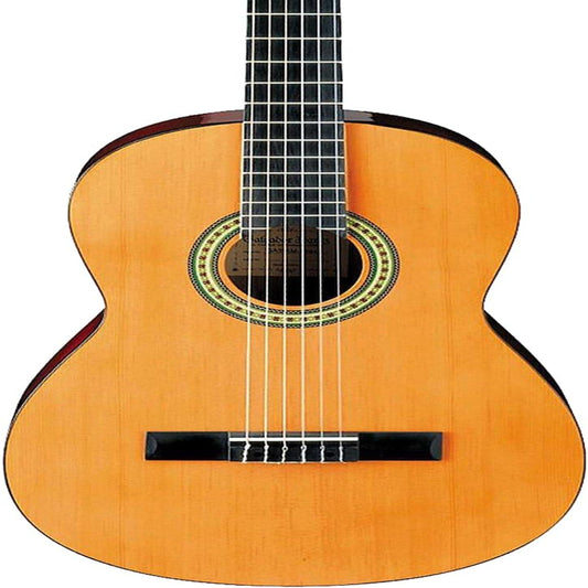 Ibanez clasica