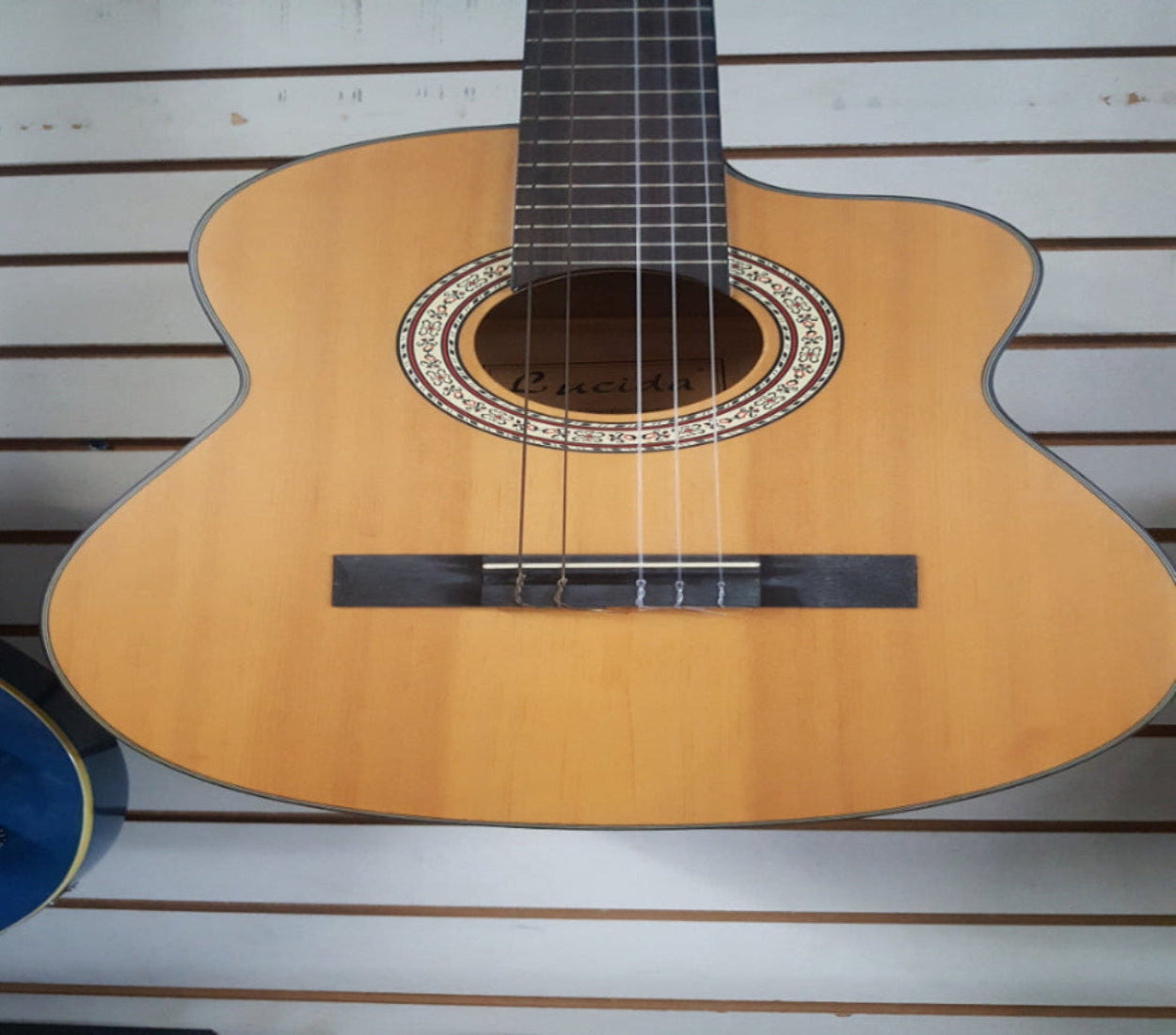 Lucida Requinto