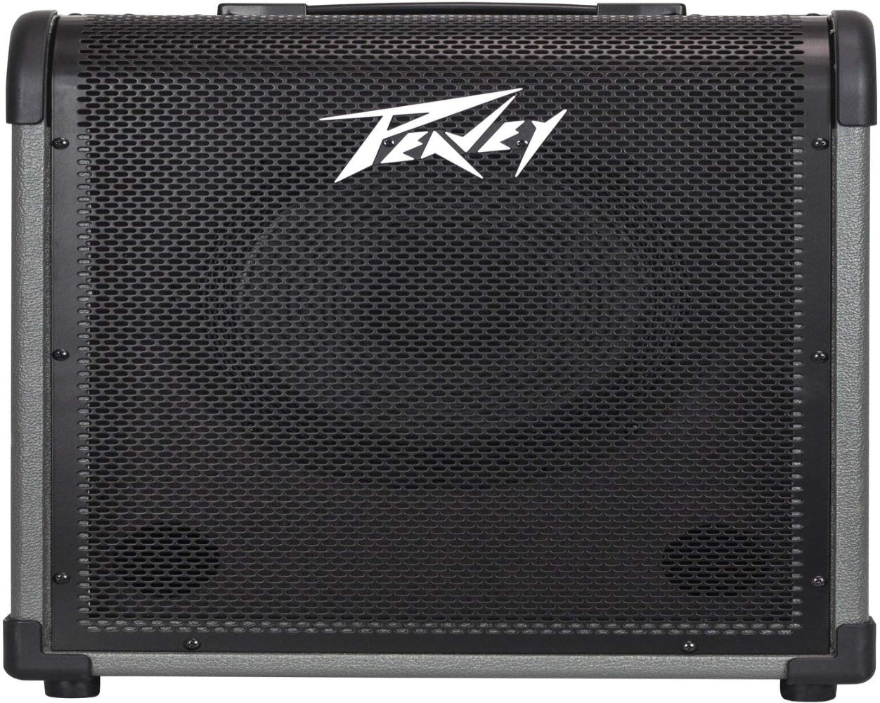 Peavey 100