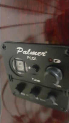 Guitarra clasica electroacustica Palmer