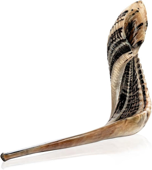 Shofar