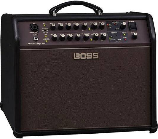 Boss Acoustic Singer Pro 120